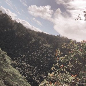 Meet your Posher, Harrison